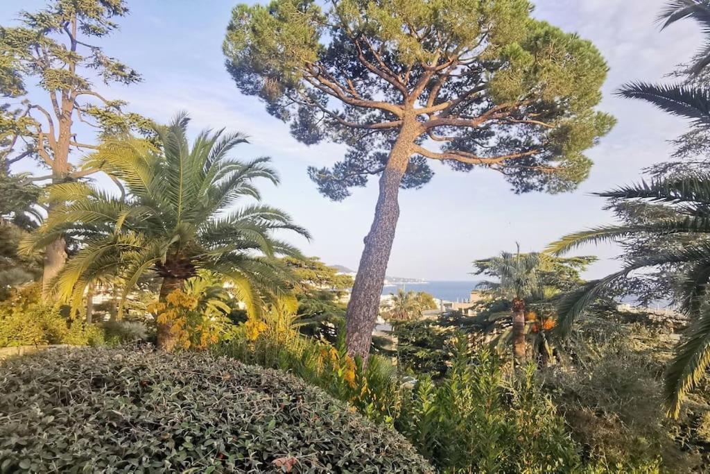 Appartement Nice Centre Vue Mer Avec Piscine Pour Famille, Couple D'Amis Pas De Groupes De Jeunes Autorises Luaran gambar